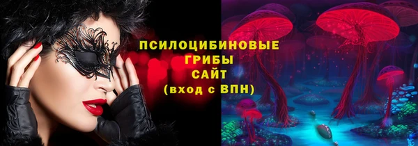 бутират Елабуга