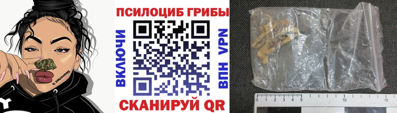 Галлюциногенные грибы Cubensis  Купить где  Нижняя Салда 